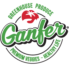 Ganfer
